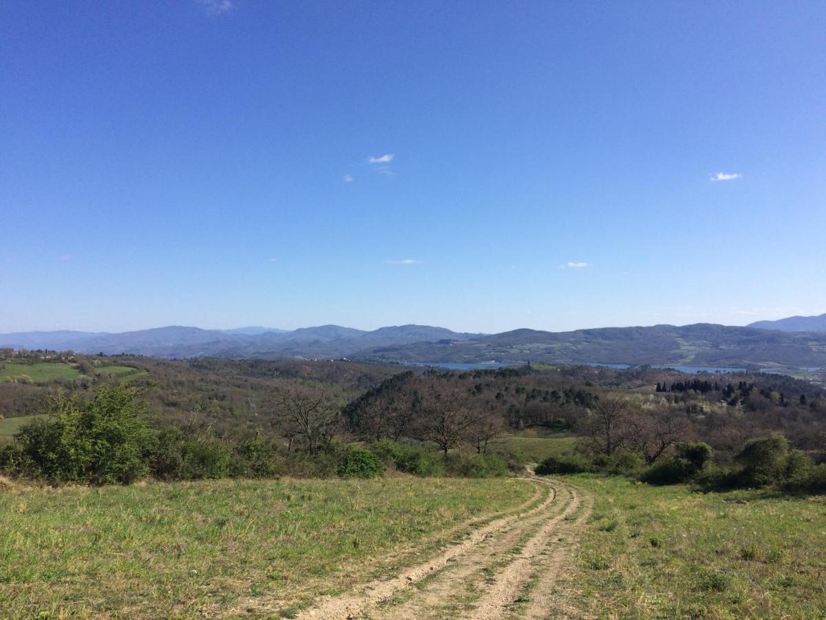 Agriturismo Corzano Barberino di Mugello Eksteriør bilde