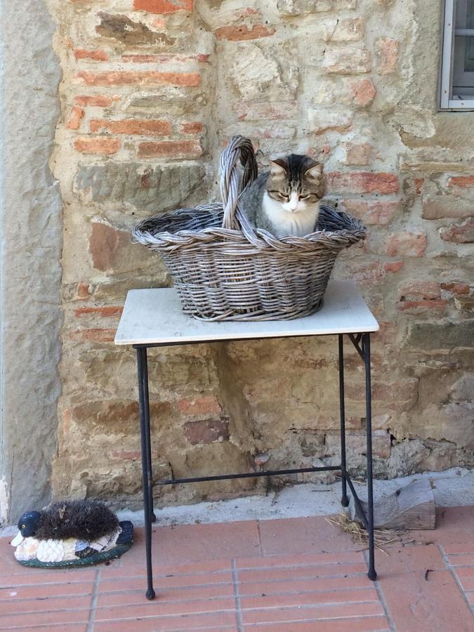 Agriturismo Corzano Barberino di Mugello Eksteriør bilde