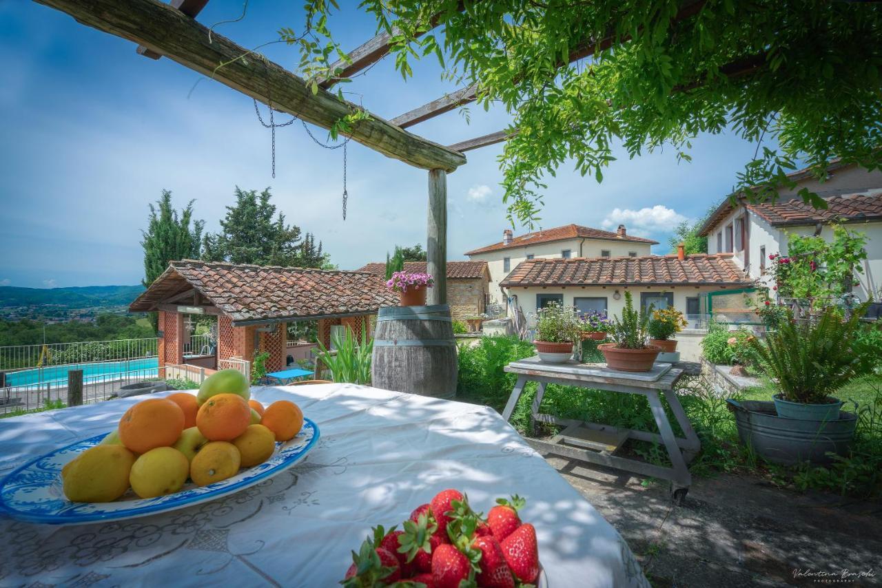 Agriturismo Corzano Barberino di Mugello Eksteriør bilde